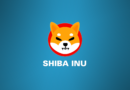 Come e dove comprare Shiba Inu